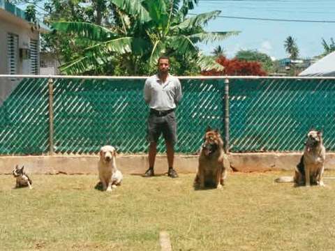 Joaquin Dog Training